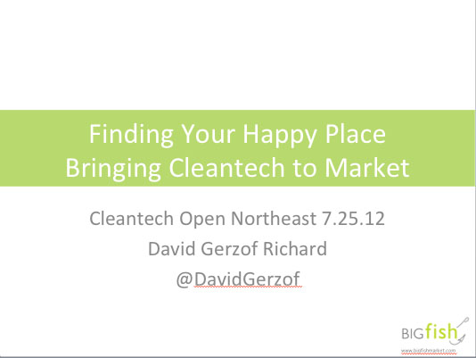 Bringing Cleantech to Market