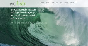 BIGfish PR Tech Public Relations