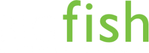 BIGfish Tech PR Agency logo