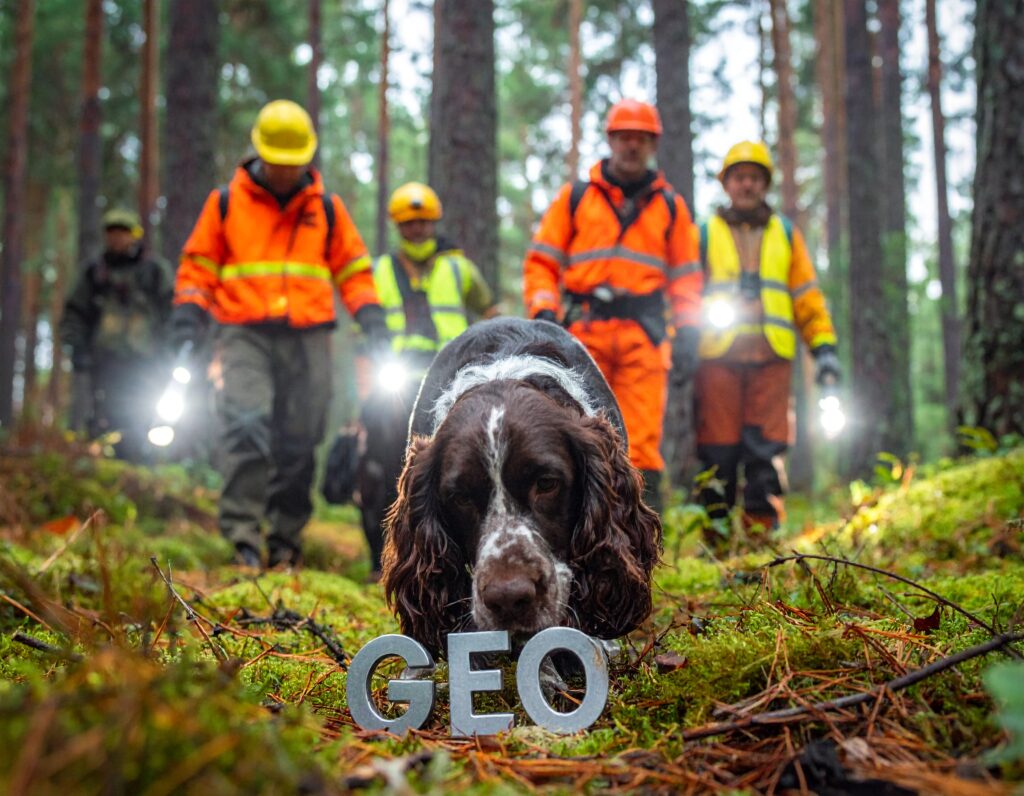 GEO PR Brand Discovery