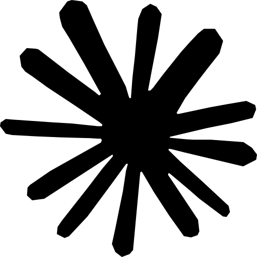 Black starburst icon with radiating spikes